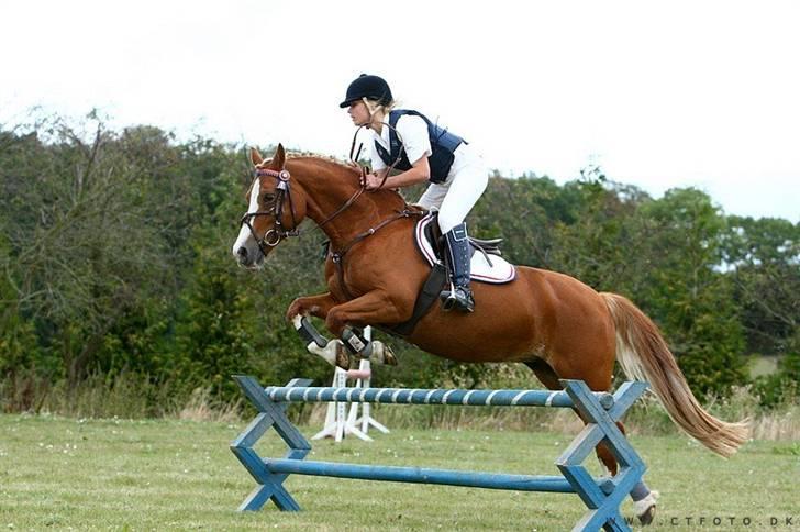 Mille Rasmussen og Tirana billede 43