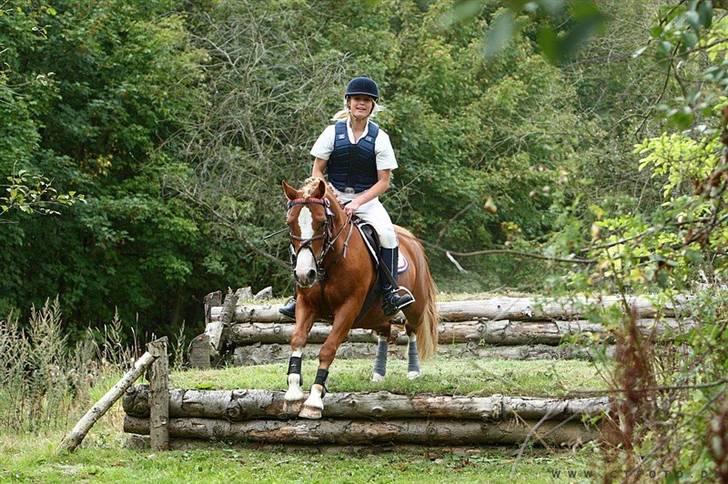 Mille Rasmussen og Tirana billede 44