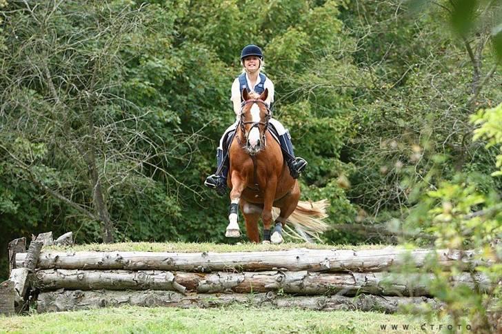 Mille Rasmussen og Tirana billede 45