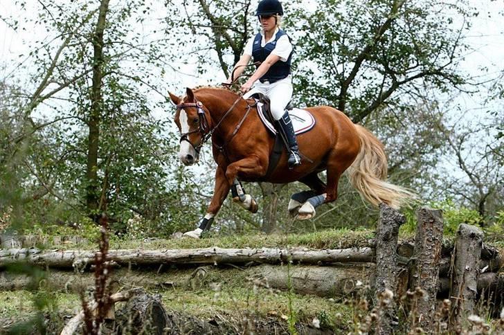 Mille Rasmussen og Tirana billede 46