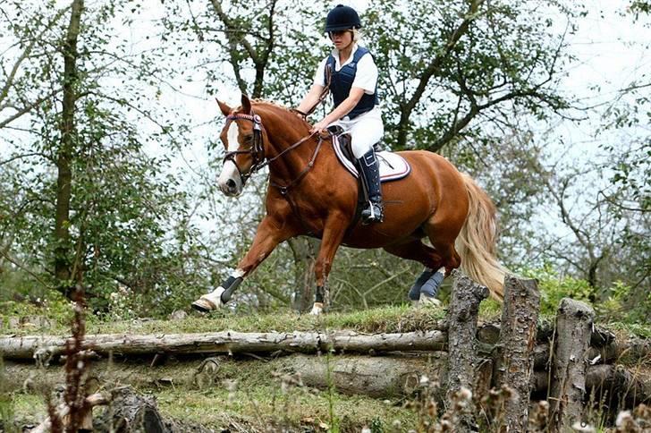 Mille Rasmussen og Tirana billede 47