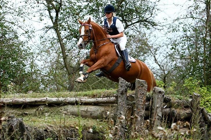 Mille Rasmussen og Tirana billede 48