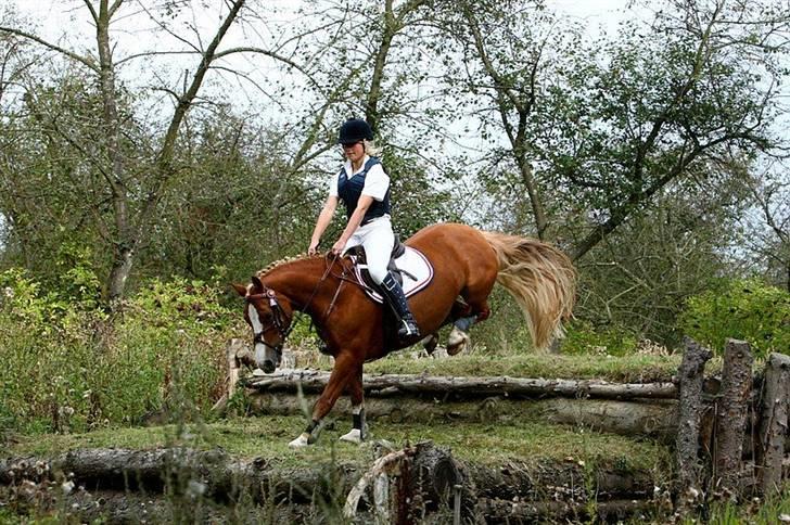 Mille Rasmussen og Tirana billede 49