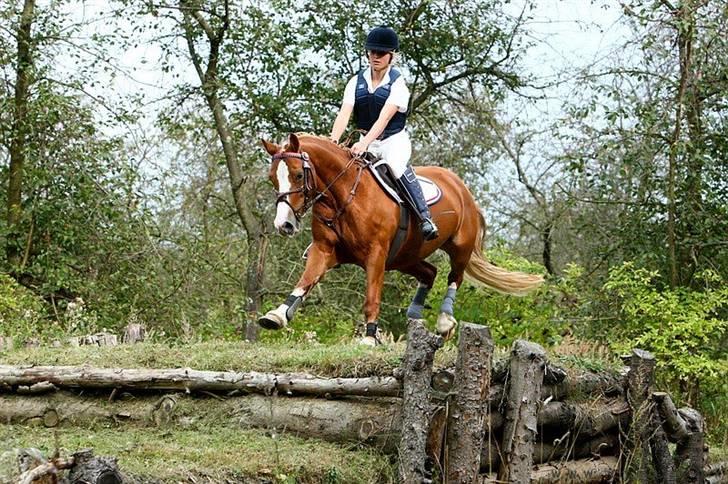 Mille Rasmussen og Tirana billede 51