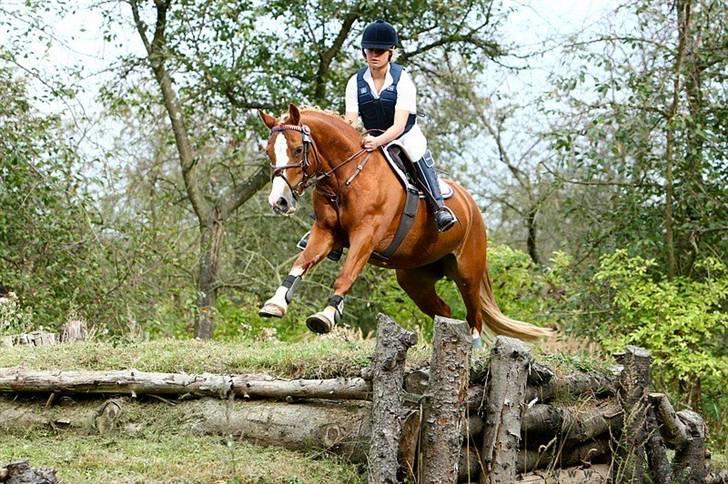 Mille Rasmussen og Tirana billede 52