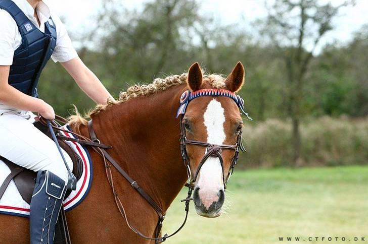Mille Rasmussen og Tirana billede 55