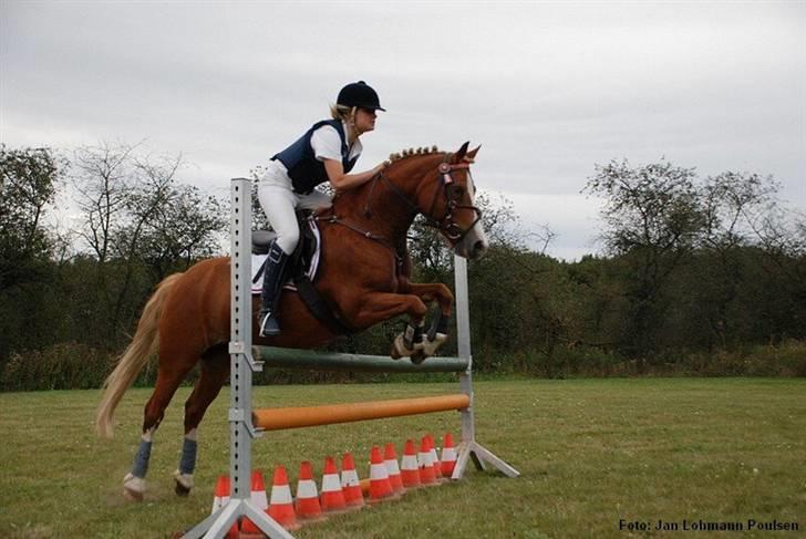 Mille Rasmussen og Tirana billede 58