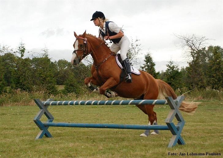 Mille Rasmussen og Tirana billede 59