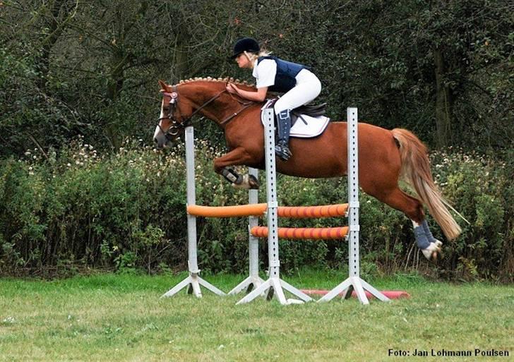 Mille Rasmussen og Tirana billede 60