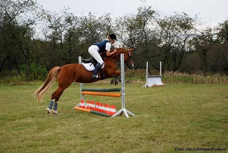 Mille Rasmussen og Tirana billede 61