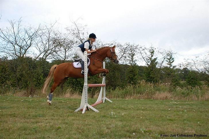 Mille Rasmussen og Tirana billede 62
