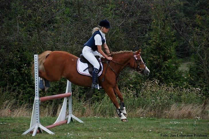 Mille Rasmussen og Tirana billede 63