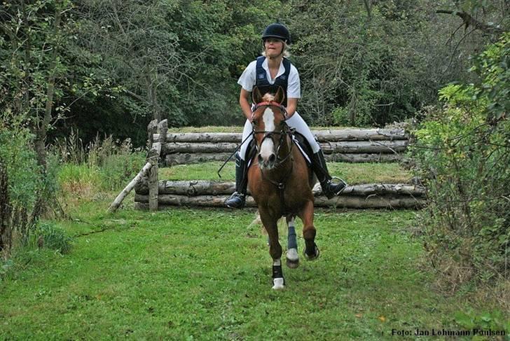 Mille Rasmussen og Tirana billede 64