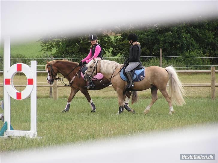 Kursus ved Tommy Lundby 2009 billede 1