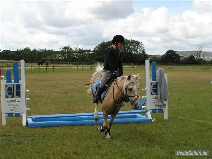 Kursus ved Tommy Lundby 2009 billede 2