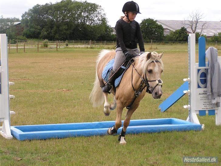 Kursus ved Tommy Lundby 2009 billede 3