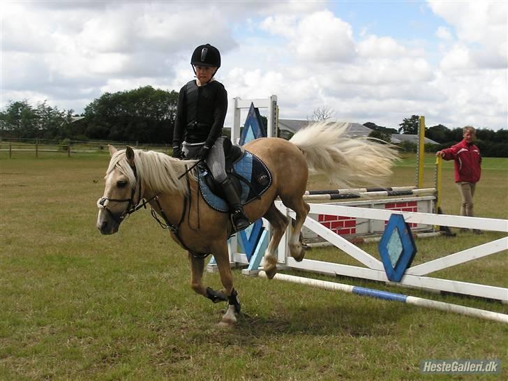 Kursus ved Tommy Lundby 2009 billede 4