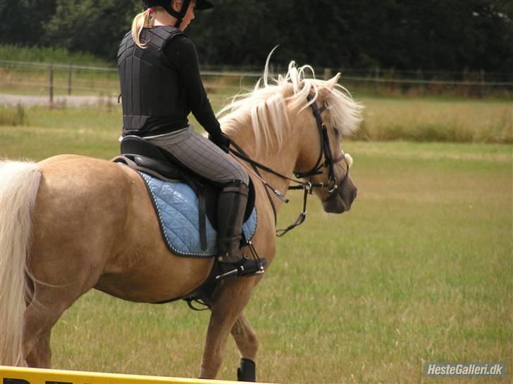 Kursus ved Tommy Lundby 2009 billede 5