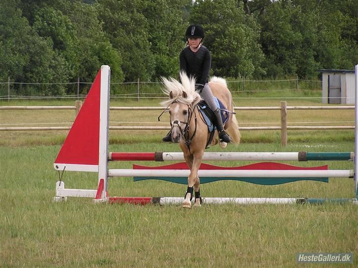 Kursus ved Tommy Lundby 2009 billede 9