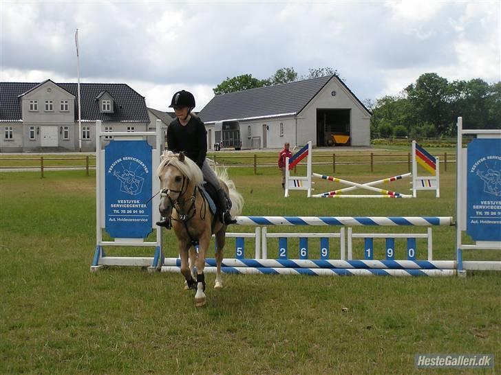 Kursus ved Tommy Lundby 2009 billede 10