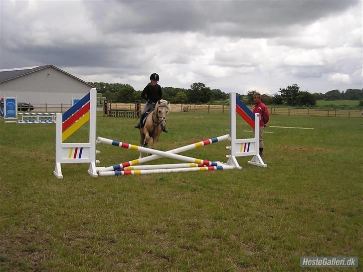 Kursus ved Tommy Lundby 2009 billede 12