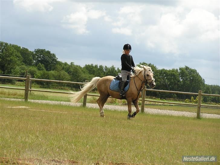 Kursus ved Tommy Lundby 2009 billede 13