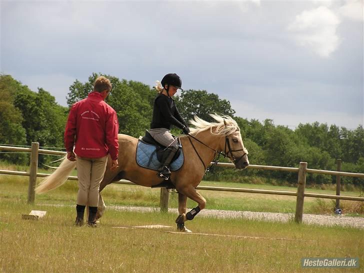 Kursus ved Tommy Lundby 2009 billede 14