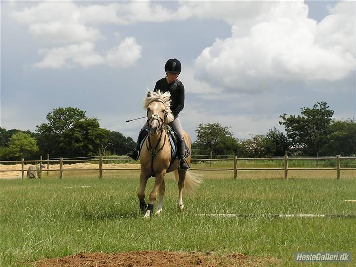 Kursus ved Tommy Lundby 2009 billede 15