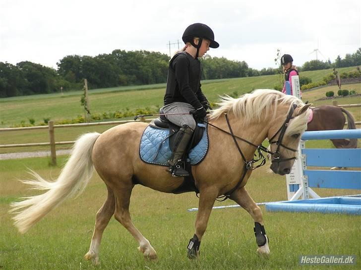 Kursus ved Tommy Lundby 2009 billede 16