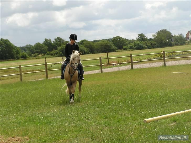 Kursus ved Tommy Lundby 2009 billede 17