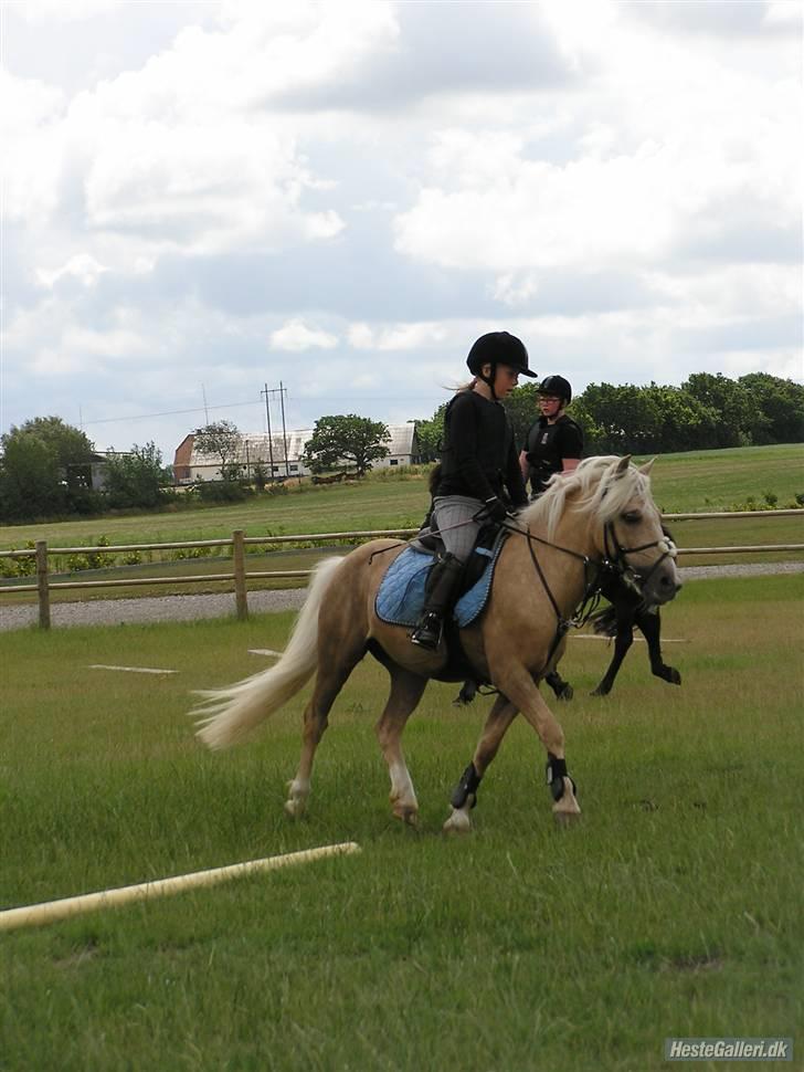 Kursus ved Tommy Lundby 2009 billede 18