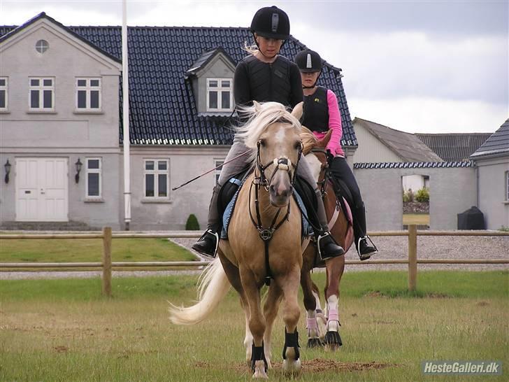 Kursus ved Tommy Lundby 2009 billede 19