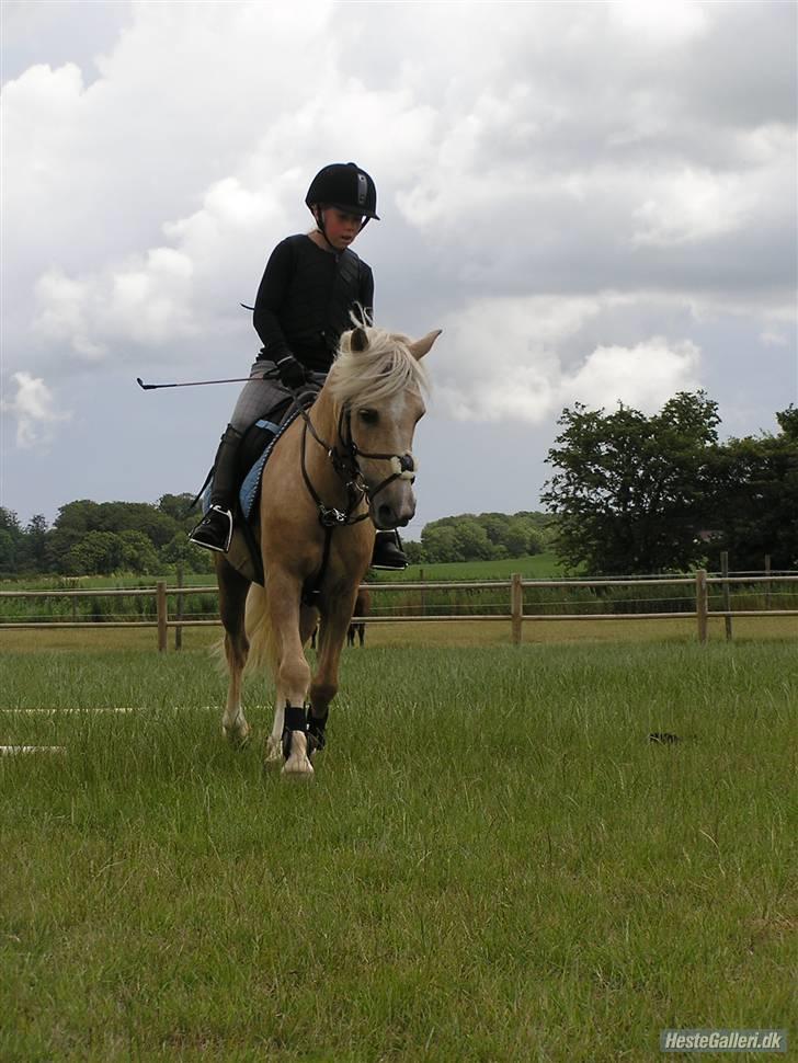 Kursus ved Tommy Lundby 2009 billede 20