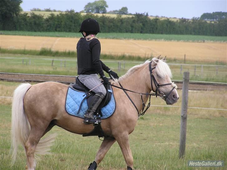 Kursus ved Tommy Lundby 2009 billede 21