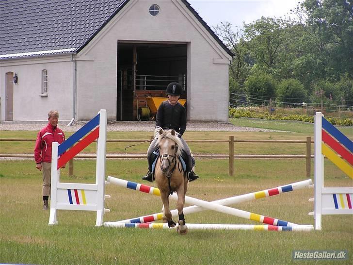 Kursus ved Tommy Lundby 2009 billede 22