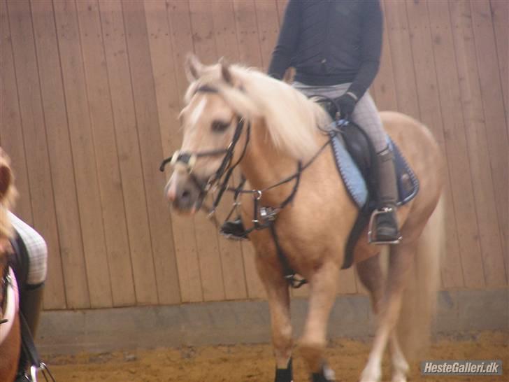 Kursus ved Tommy Lundby 2009 billede 23