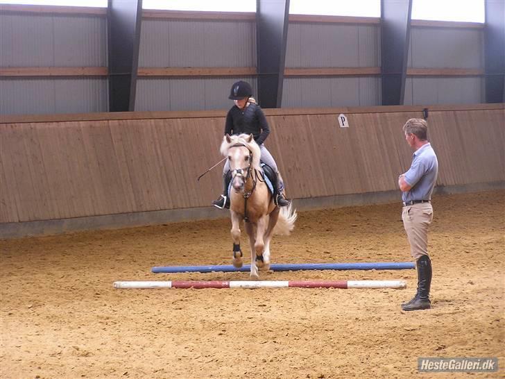 Kursus ved Tommy Lundby 2009 billede 24