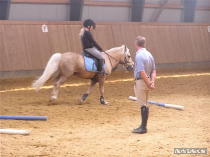 Kursus ved Tommy Lundby 2009 billede 25