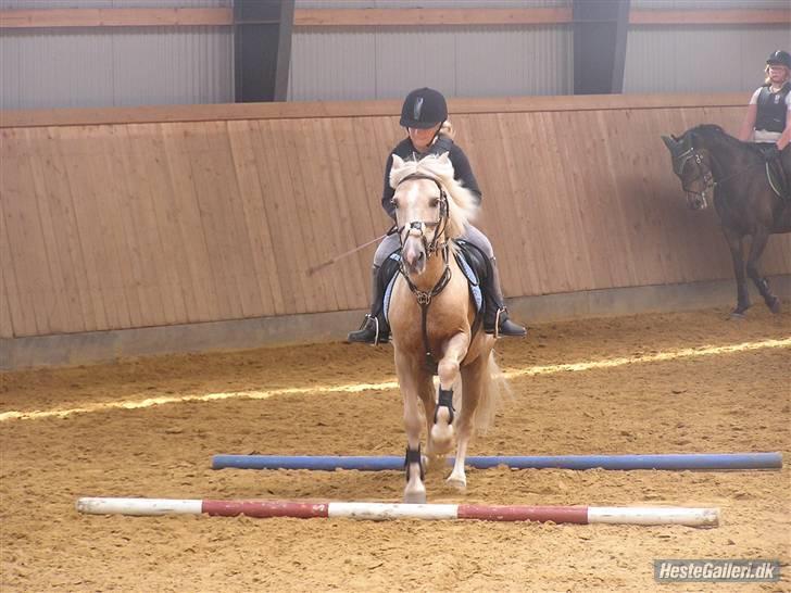 Kursus ved Tommy Lundby 2009 billede 26