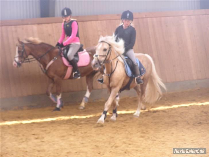 Kursus ved Tommy Lundby 2009 billede 27