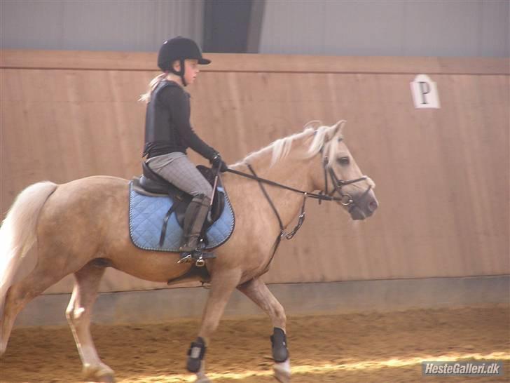 Kursus ved Tommy Lundby 2009 billede 28