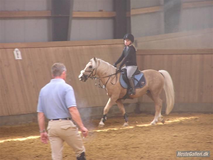 Kursus ved Tommy Lundby 2009 billede 29