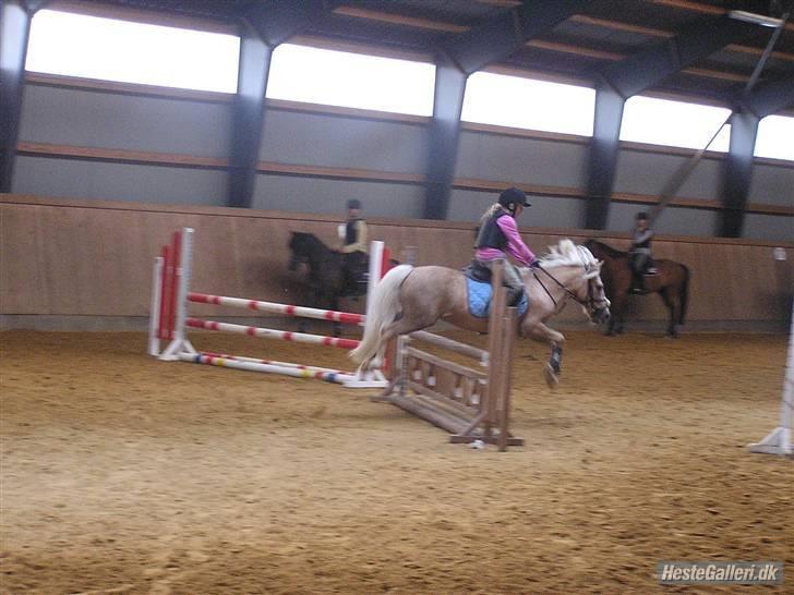 Kursus ved Tommy Lundby 2009 billede 30