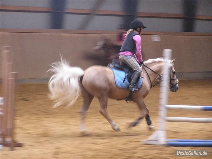 Kursus ved Tommy Lundby 2009 billede 31