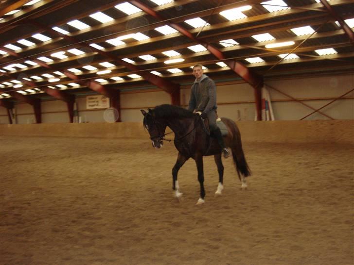 Herkules og ossi tilridning D.3/10 09 billede 1