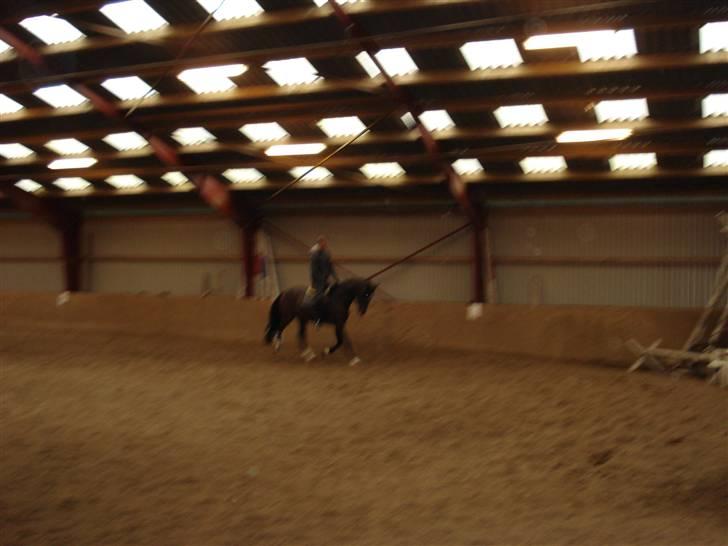 Herkules og ossi tilridning D.3/10 09 billede 2