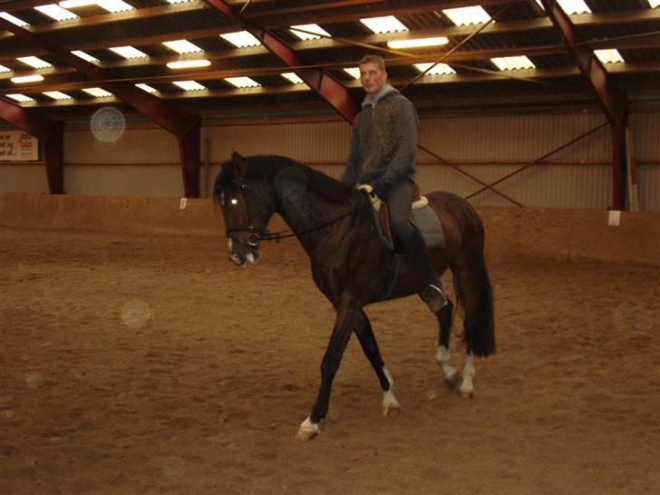 Herkules og ossi tilridning D.3/10 09 billede 5