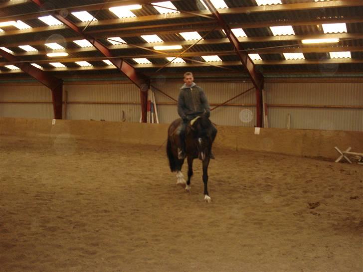 Herkules og ossi tilridning D.3/10 09 billede 8