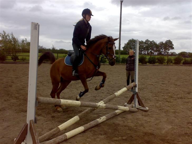 Springning på mine to springmus:-) - Lucky billede 2