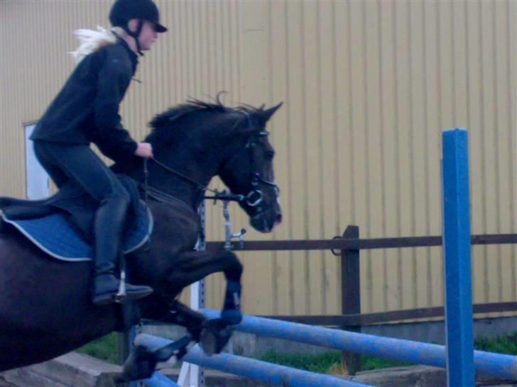 Springning på mine to springmus:-) - Sunshine billede 3